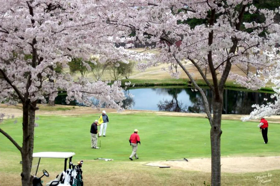 DeSoto Golf Course - Front 9