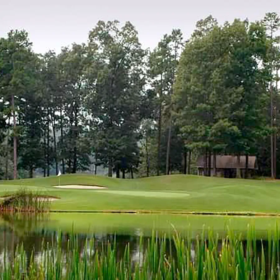 ponce-de-leon-gallery-04