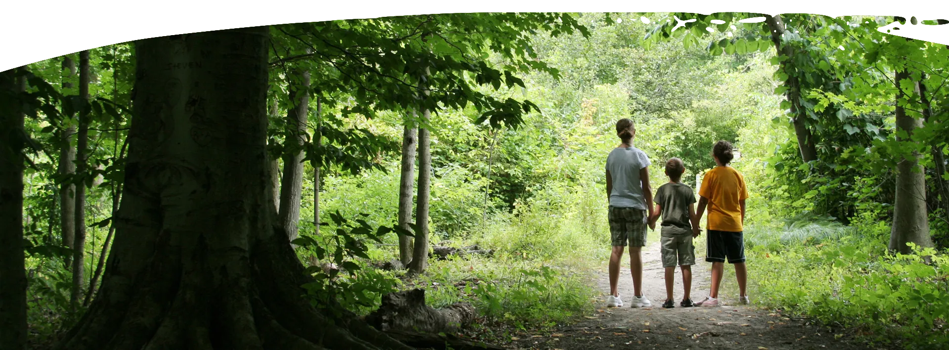 Enjoy the trails in Hot Springs Village