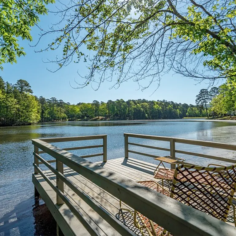 hm-gallery-lakes-lake-view3-hot-springs-village