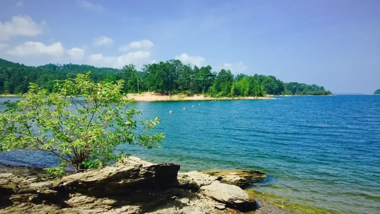 places lake ouachita state park 768x432