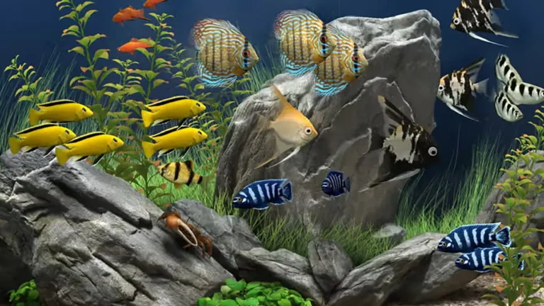 places national park aquarium 768x432
