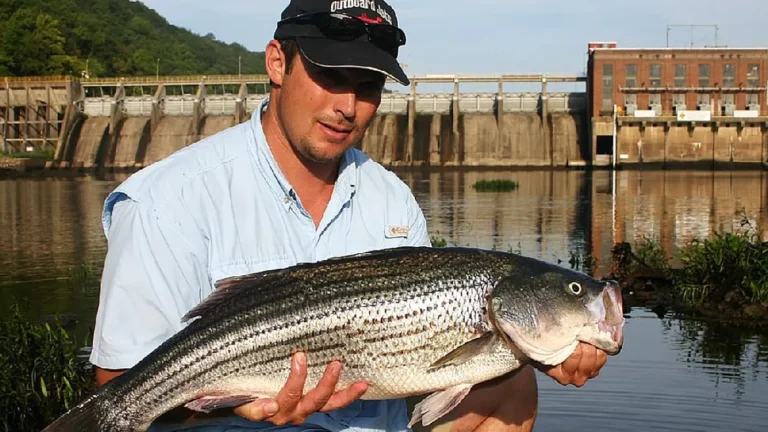 places remmel dam fishing 768x432